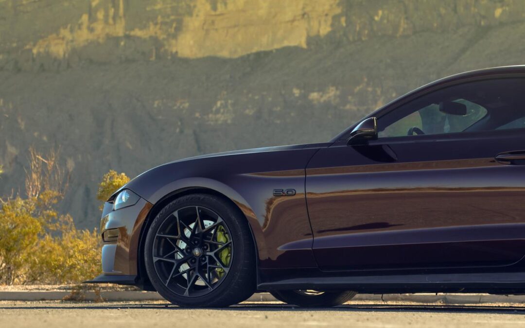 Mustangs & Mountains