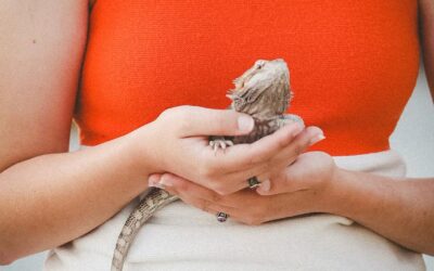 Ema – Senior ’25